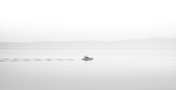 关于梅的古诗句