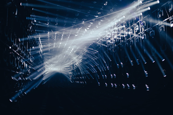 老虎为什么不吃草