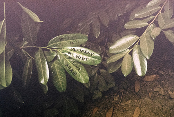 我和小苗共成长句子