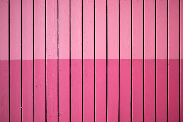 水满陂塘中的泊怎么读